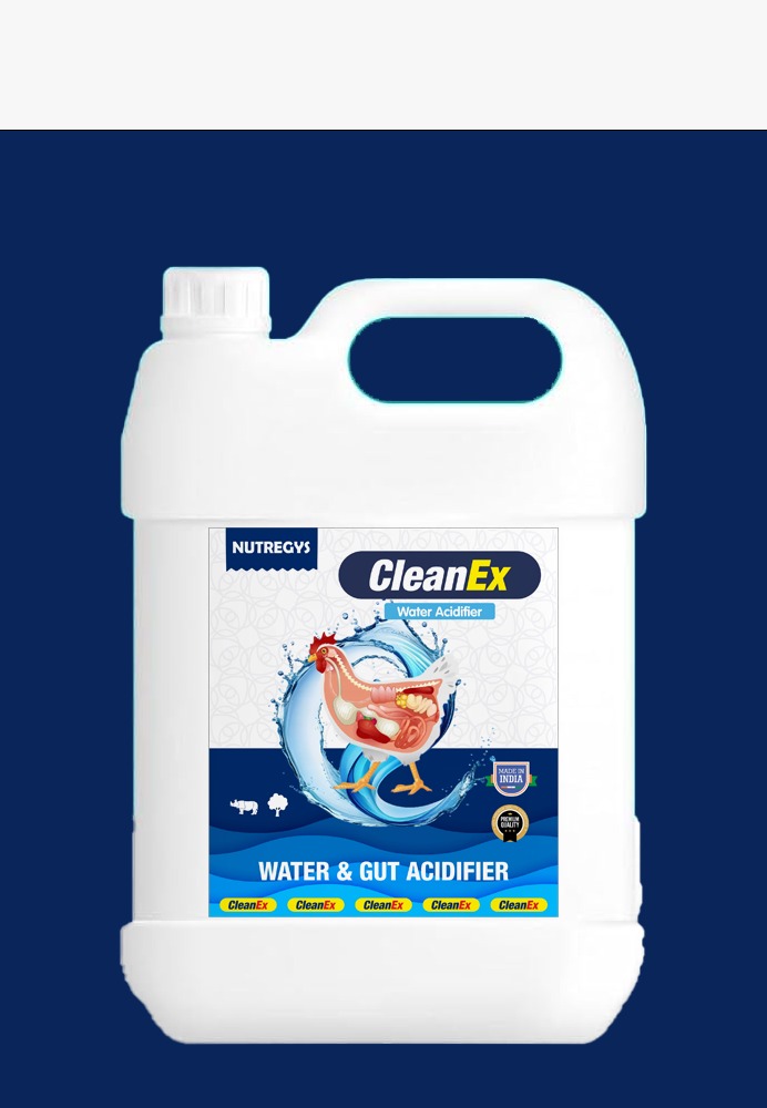 WhatsApp Image 2025-05-09 at 10.59.23 AM.jpeg